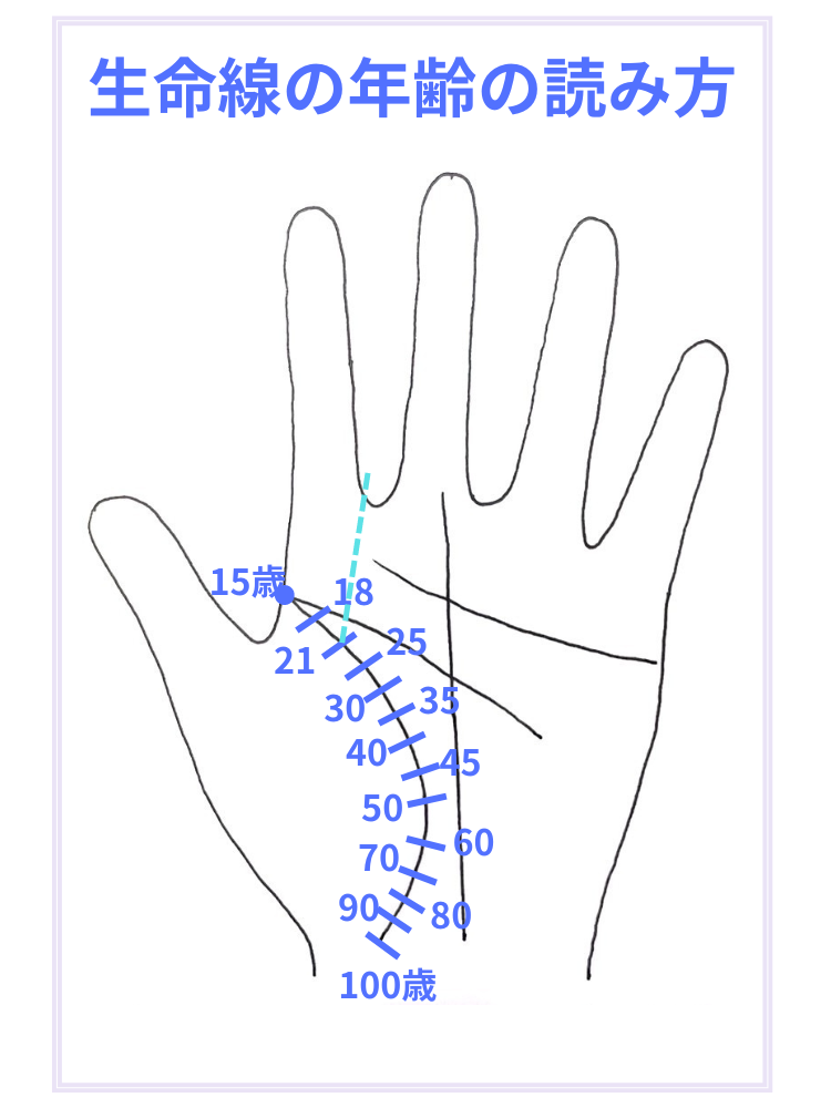 今日も、手相を視ていきます🔮 まず、生命線を4等分します。 そして 下から4 2の内側部分から 伸びる線は、なあに⁉️ 配偶者の援助で財をつかむ 財運 線ですo *ﾟ▽ﾟ* o配偶者が、成功することにより その恩恵を受けますよ✨️ 専業主婦より も ご自身も 働いていく
