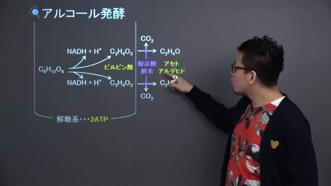 おうちで簡単にできる乳酸発酵 - オリーブオイルを、もっと楽しく、もっとおいしく
