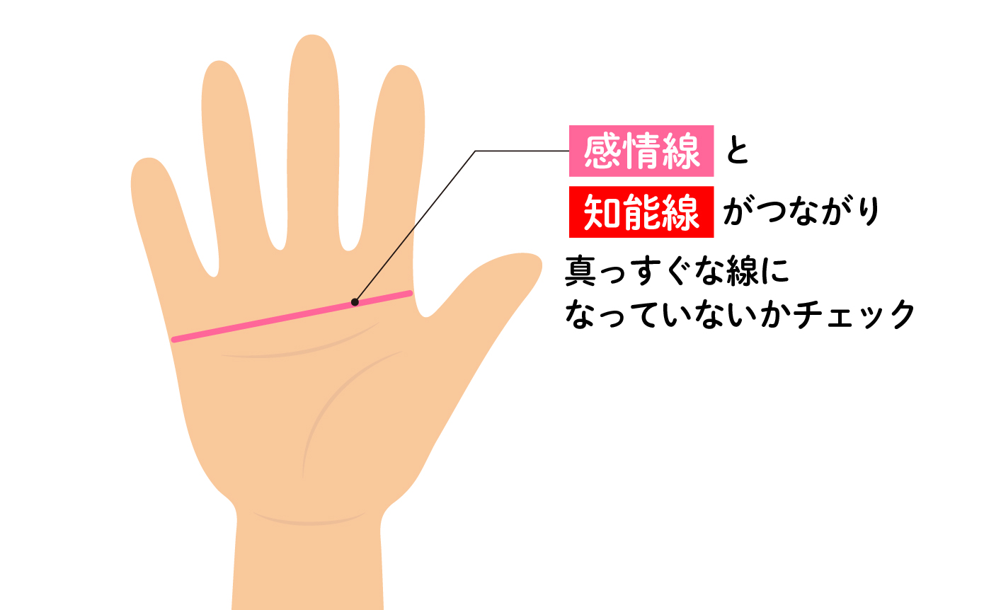 手相 S線・M線 金星環の一部 の意味と関連した線について星見るウサギの社