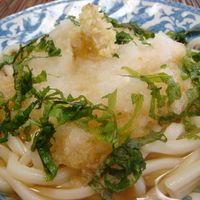 二日酔いうどんつらい翌日に人気の食べ物！美味しいうどんの通販おすすめランキングベストオイシ