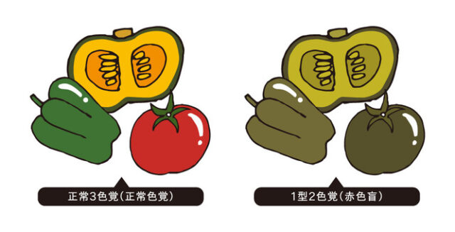 色覚異常よくある目の病気 96京橋クリニック眼科大阪市都島区京橋駅前の眼科専門のクリニック