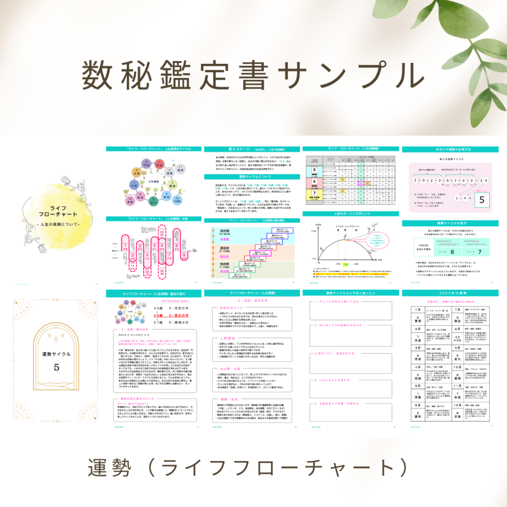 きょんちゃん様専用 四柱推命 占い 鑑定書 説明書A4用紙20~25