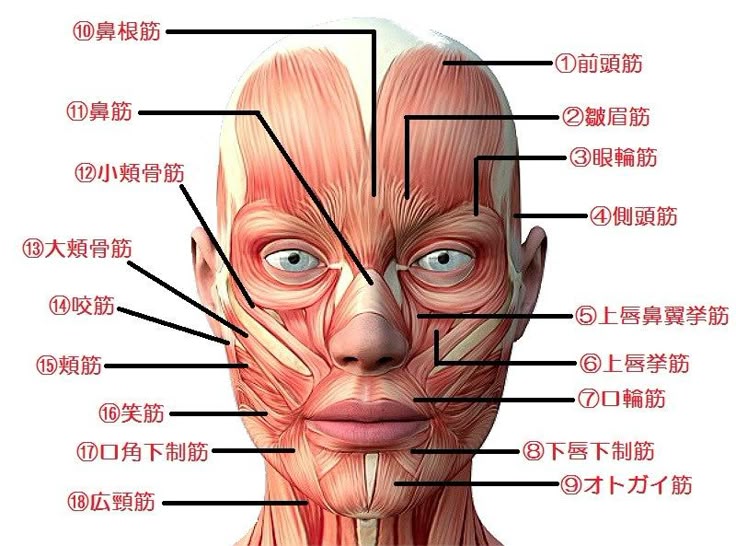 言葉にできない感情の表情筋 2 4ぷにお：5歳11ヶ月 ぷにすけ：4歳7ヶ月頃※去年の出来事です育児育児漫画育児マンガ育児絵日記育児日記子育てイラスト漫画絵日記赤ちゃん5歳4歳年子年子兄弟兄弟小学校卒園トイレトイレ乱入