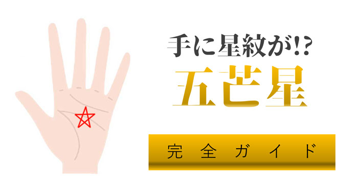 星ひとみの恋する手相占い・ ~ 基本線と補助線 ~星ひとみ - チーズ！ネット