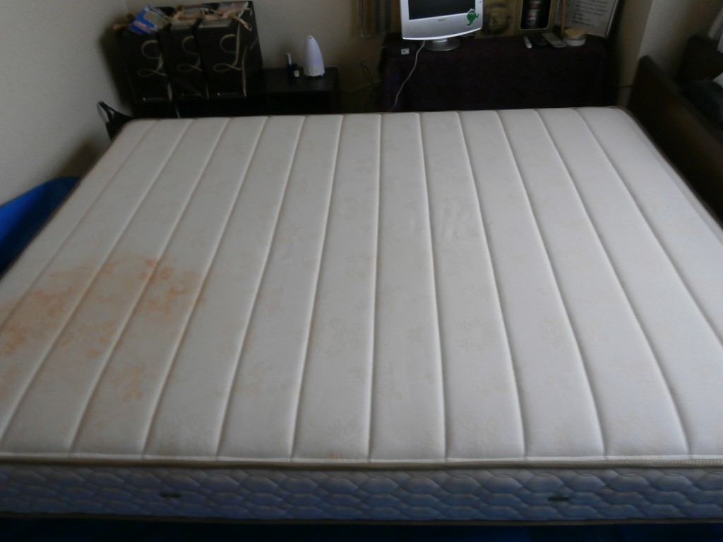 Amazon.co.jp: 寝具クリーナー マットレス尿汚れ専用 天然素材 100％ 水洗い不要 尿染み黄ばみ取り 漂白剤 洗浄 消臭 除菌万能汚れ落とし シミ抜き剤 黄ばみ落とし&防止 強力 染み抜き 血液 油汚れ 泥汚れ シミ 食べこぼし 汚れ落とし 布 ソファ 布団 寝具 カーペットお部屋