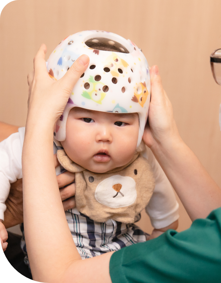 ジカ熱は小頭症の原因とＣＤＣが断定ニューズウィーク日本版 オフィシャルサイト