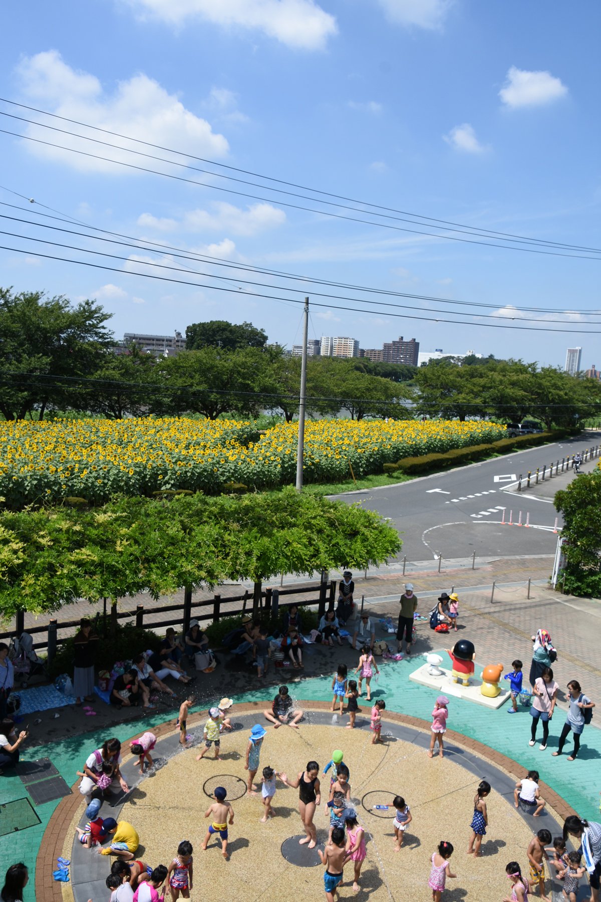 牛島古川公園II期ひまわり広場（埼玉県春日部市牛島493-1）ひまわり畑ネット / USHIJIMA-FUKUKAWA