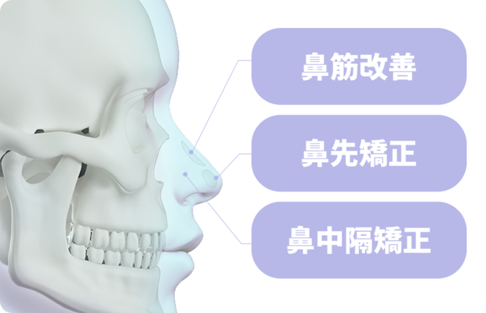 老化で鼻の形が変わる？骨の変化と美容対策ガイド