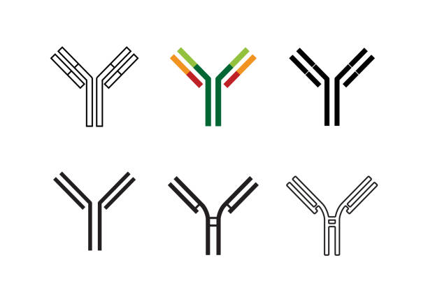 抗体イラスト - No: 1923215無料イラスト・フリー素材なら「イラストAC」