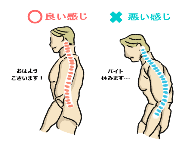 Amazon.co.jp: VERSOS ストレッチ器具 爽快全身伸ばしストレッチャー VS-HE01 グレー : スポーツ＆アウトドア