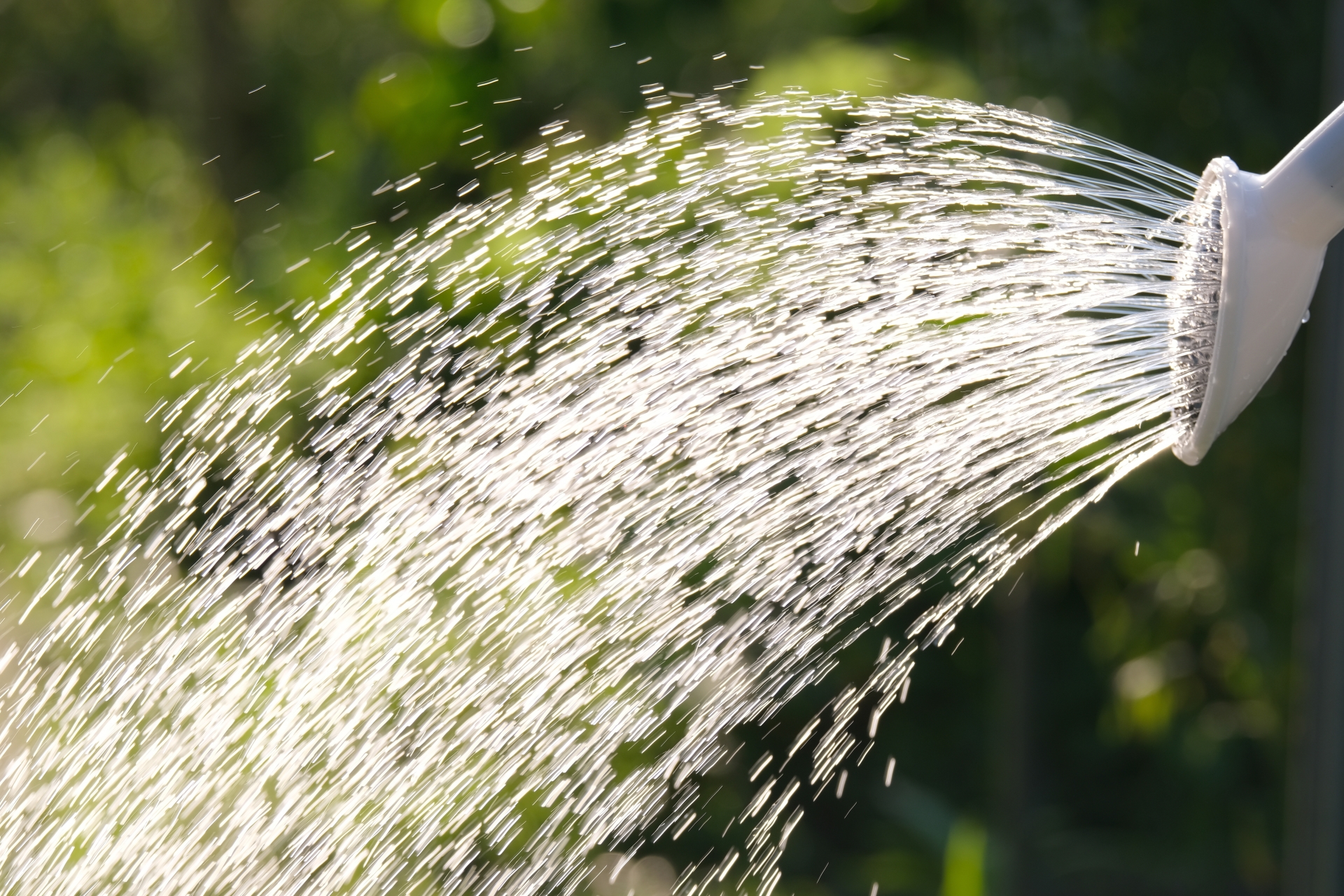 歩道のひび割れや、雑草をなくしたい場所に、熱湯を使って雑草を枯らすんだ。 : r Frugal
