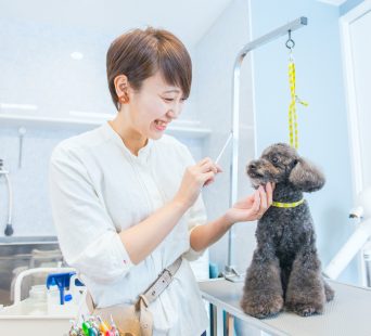 木村優花@uchan_yuukaa• Instagram photos and videos