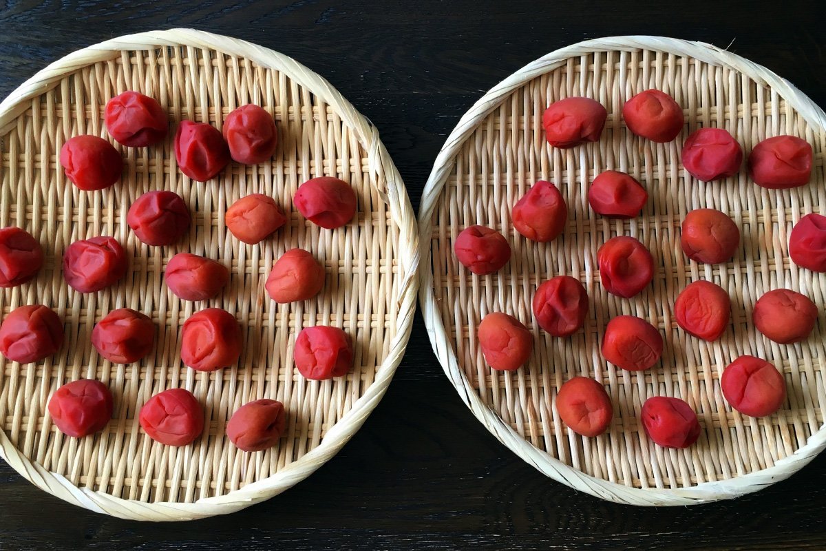 梅干しの作り方＜赤紫蘇漬け＞編