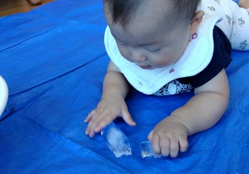 ９月 氷遊び ０歳児神奈川県横浜市の日吉夢保育園