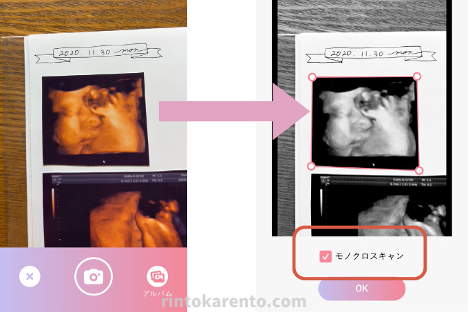 エコー写真をデータ化する方法とおすすめスキャンアプリ2選かたさんち