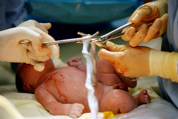 24種類から選べるへその緒ケース 水彩 北欧 韓国 臍の緒 出産 雑貨・その他 アニバーサリー雑貨 felice 通販17416377Creema クリーマ