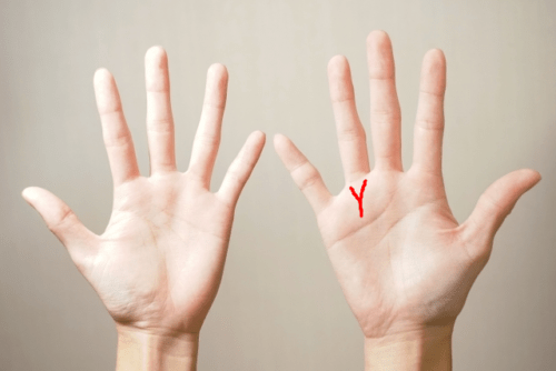 手相占いキホンの見方を徹底解説！７大線から超強運な手相まで -セキララゼクシィ