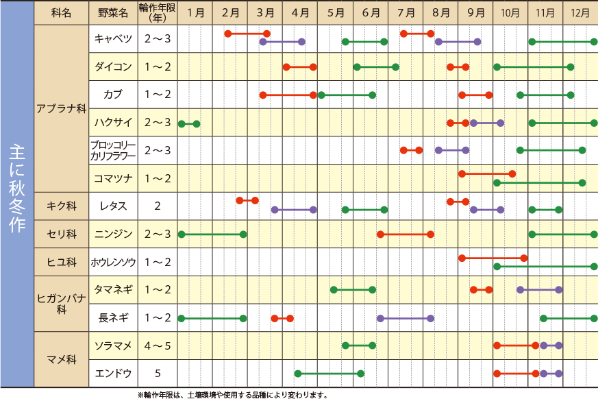 A3 年間野菜栽培プランナー区画とガーデンカレンダー植え付けと収穫の年ポスター - Etsy 日本
