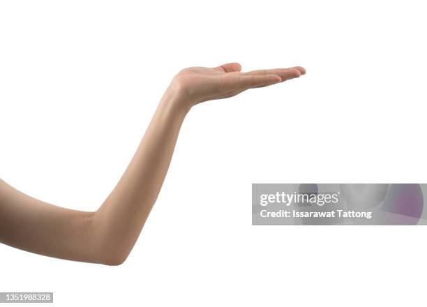 女性の手の写真Unsplashで無料写真をダウンロードする