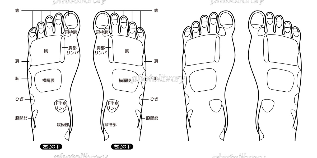 足つぼ 図解」の検索結果