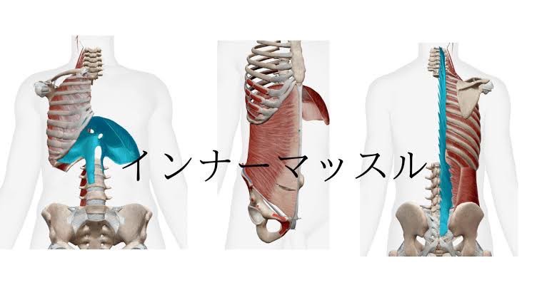 疲れやすい体に。インナーマッスルから整える体作り - LINO-PILATES