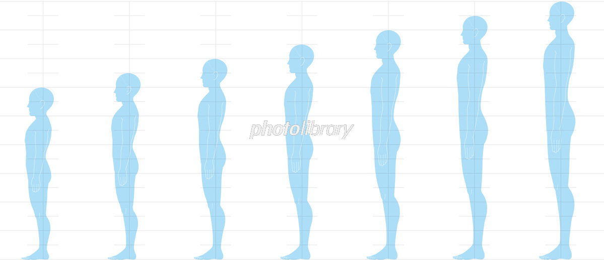 横＆ななめから見た体の比率とポイントをまとめました✍️https:www.palmie.jp courses 356 lp?aff_id=threads_palmie