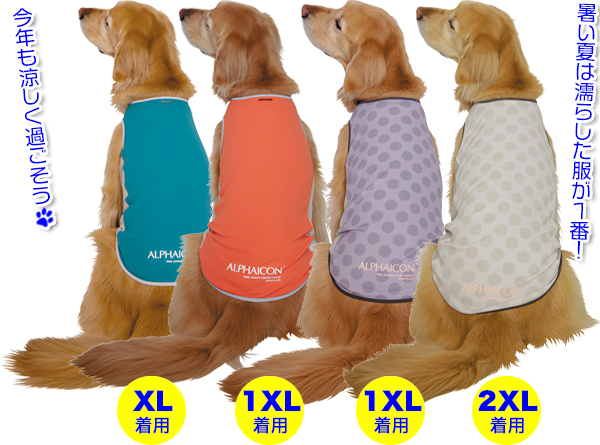 ダブルフルドッグガードALPHAICON 2025年モデル - ディンゴ DINGO大型・超大型・サイトハウンド犬種のグッズショップ