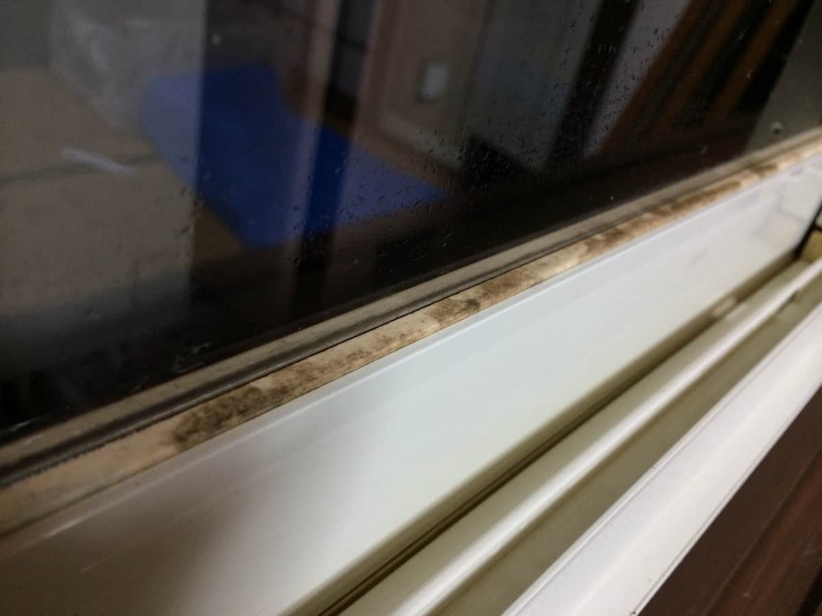 箇所別 ゴムパッキンのカビの取り方とその予防方法を解説します