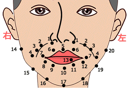 ホクロ占い2025年決定版！芸人みやさん直伝、顔の幸運ホクロの位置と開運メイク術。福井の旬な街ネタ&情報ポータル 読みもの ふーぽ