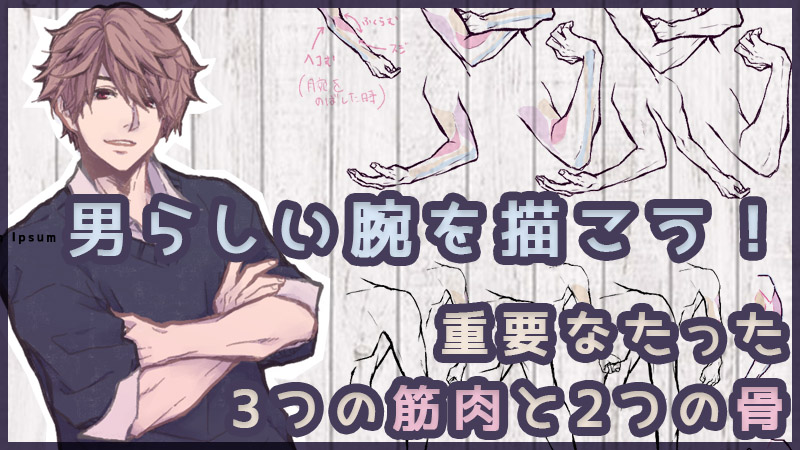 スケルトンと腕の筋肉の上腕二頭筋 白い背景の上の人間の手の筋肉の緊張 男性のシルエットの骨と関節 診療所や病院のための手の医療ベクトル イラストPremiumベクトル素材