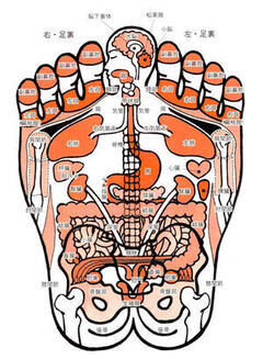 おすすめ足裏反射区～首肩編～マッサージ・整体ファンにも大人気のRe.Ra.Ku グループ リラクグループ