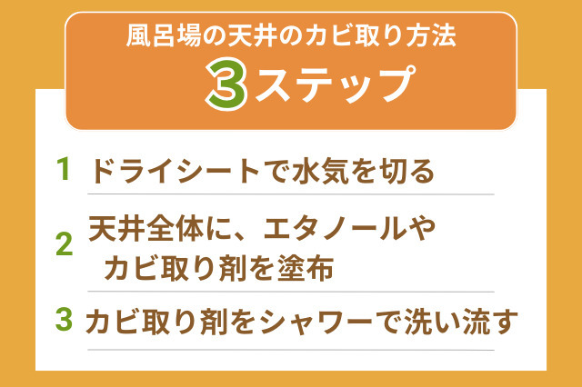 楽天市場 定形外 全国送料無料 業務用 カビ取り剤 かびとりいっぱつ カビ取り一発 浴室 天井 壁に密着 カビ取り ドア ゴムパッキン 排水口 排水溝クリーナー かびとり お風呂用洗剤 赤カビ ぬめり 掃除 プロ仕様 強力 塗り拡げてとどまる密着型とろみタイプ 100g プロ