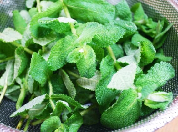 2 土着天敵を活用する害虫管理の最新技術 3 土着天敵の利用に役立つ知見と個別技術の紹介 2 果