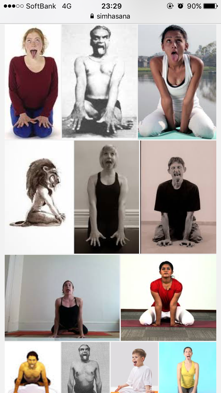 ヨガのライオンのポーズ シンハアーサナ の効果とやり方を解説！体験談も紹介！ - Getfit