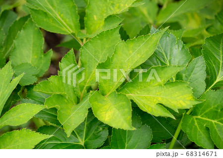 由布院温泉 おやど 二本の葦束 料金比較・宿泊予約 - 価格.com