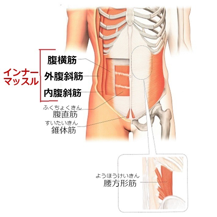 筋肉痛があるとき筋トレはOK？痛みの原因や対策も解説がんばるあなたに。疲れの情報局アリナミン