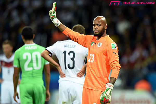 ポリプテルス・エンドリケリィ 写真素材3208651- フォトライブラリ