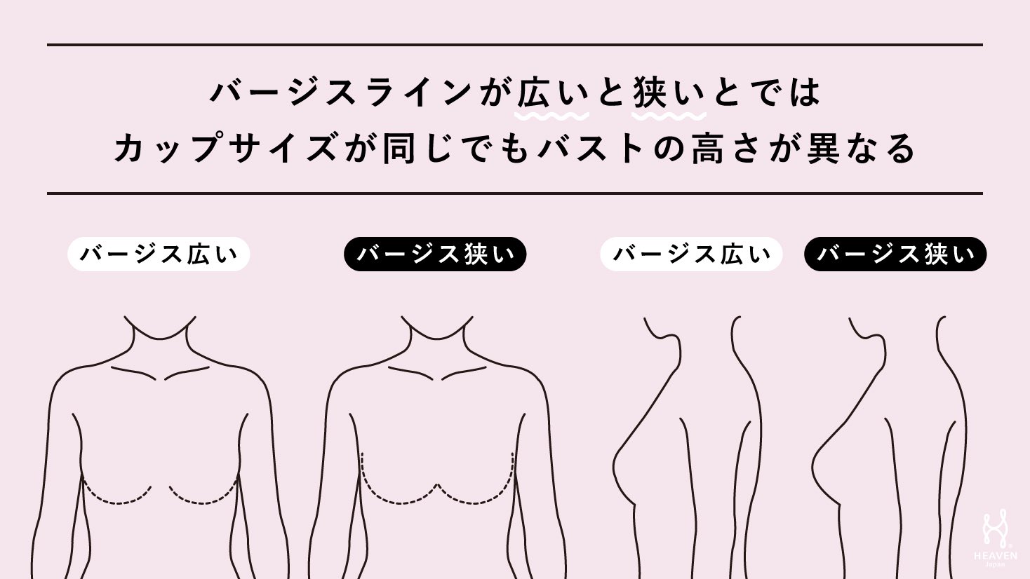 バストカップサイズ 前面 のイラスト素材10637303- PIXTA