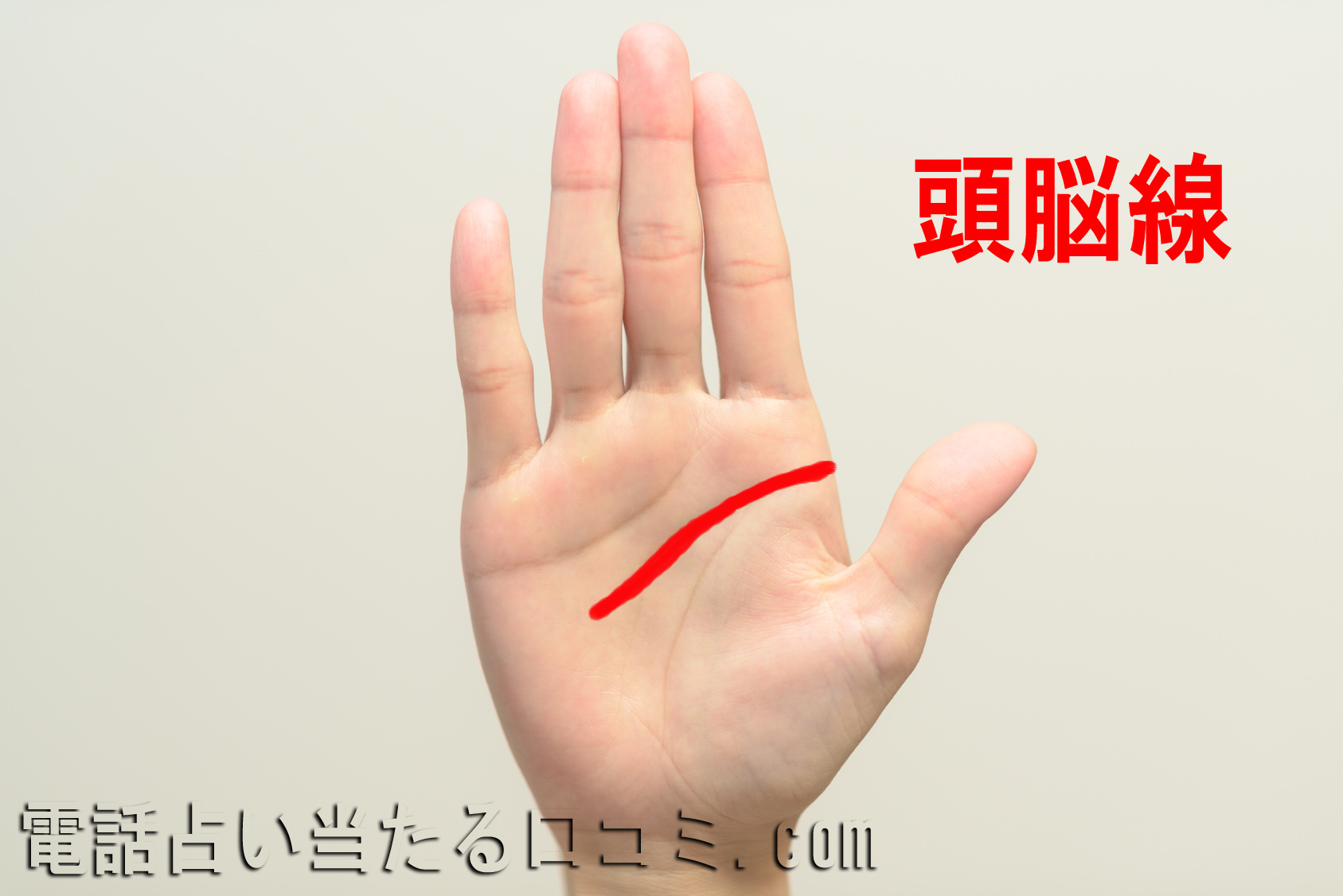 二重知能線③短い知能線と別の知能線が伸びる手相観ぱなせ