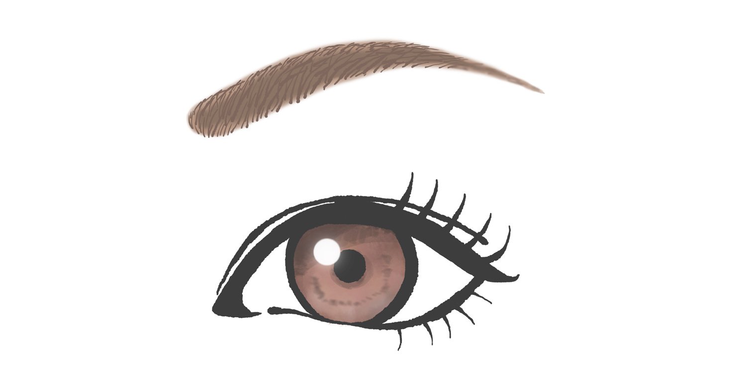 ケイト デザイニングアイブロウ3DKATEを使った眉の書き方・レビュー - ＼気になるあれこれ教えます！by なまこ🎀LIPS