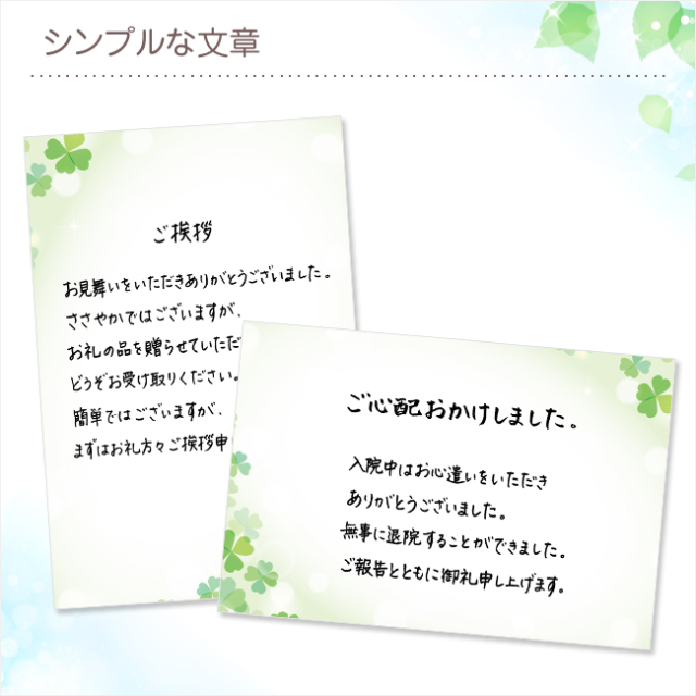 お世話になった上司や恩師,先生へ。お見舞いや入院のひとことメッセージ,書き方,文例パピレッタ・お名前入りオーダーメイドレターセット