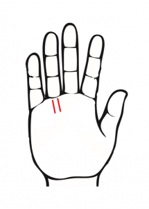 太陽線手相占いの意味と見方32選！2本・枝分かれ・長いSpicomi