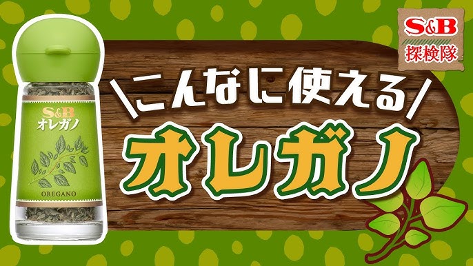 乾燥オレガノの作り方ハーブ栽培記録