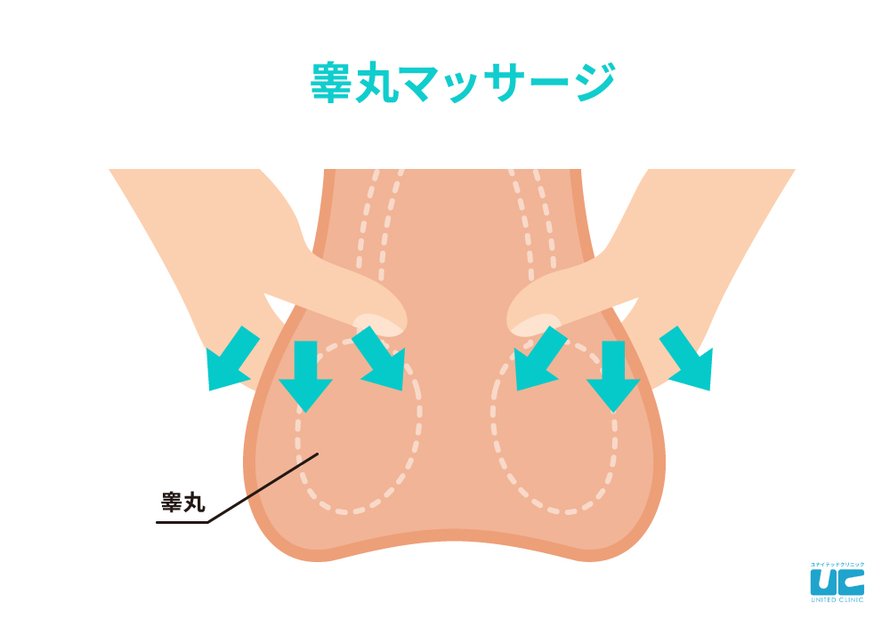 睾丸マッサージで勃起力向上！射精力改善！？風俗嬢のプラスワンテクニック☆ | 【30からの風俗アルバイト】ブログ