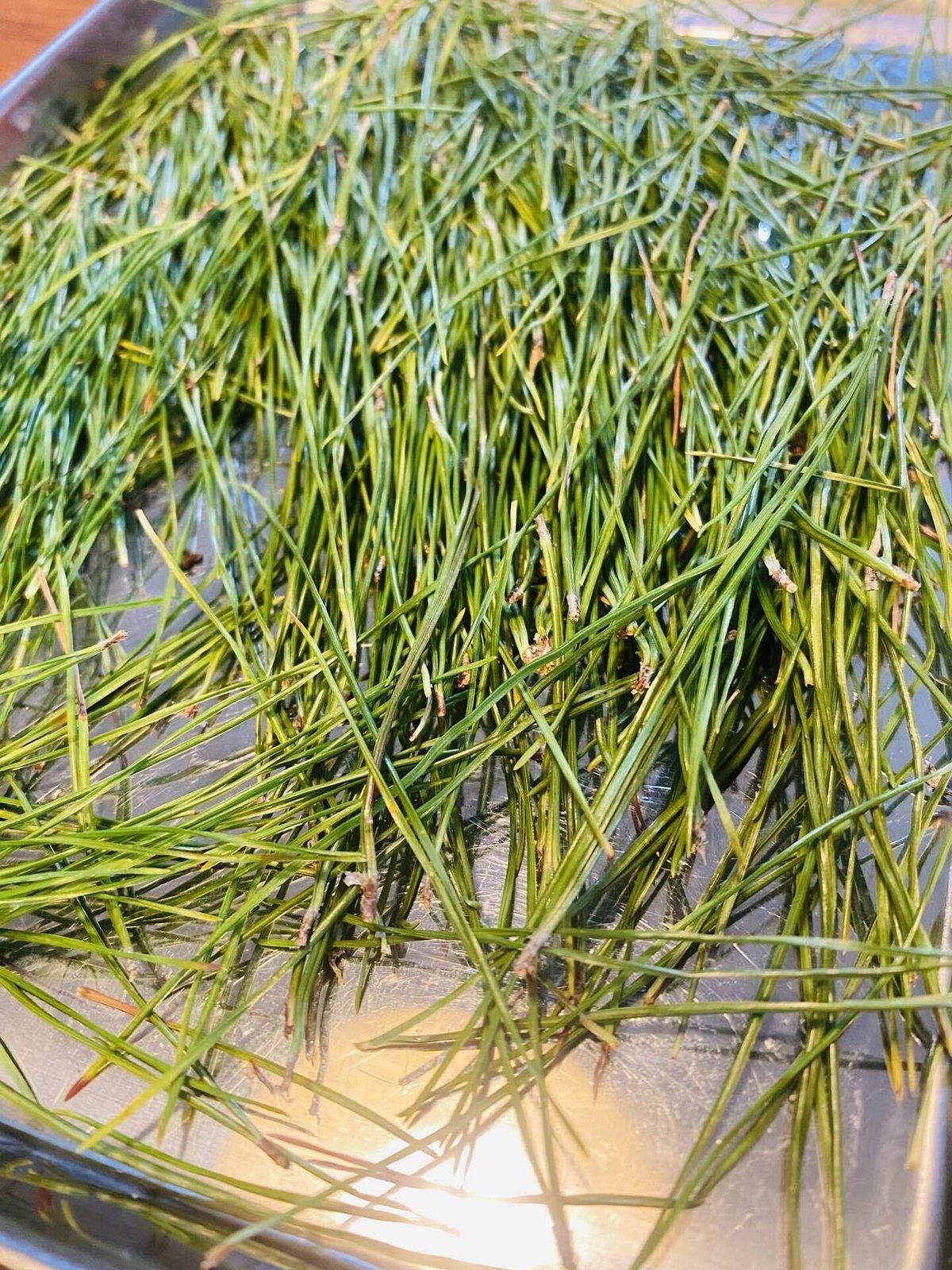 松葉茶の作り方お松を愛する会