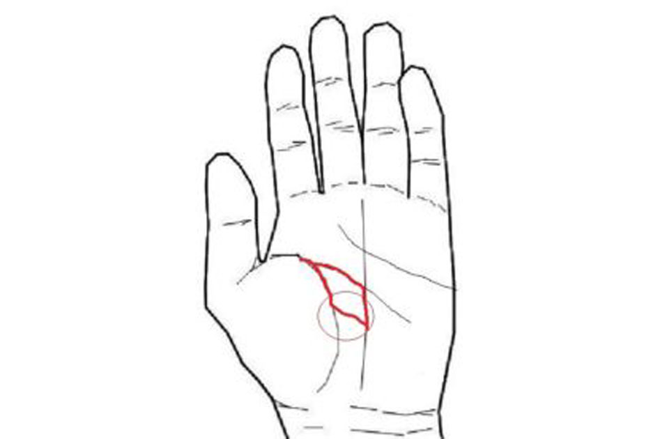 手相占い 小指の下から斜めの線は財運線？ その意味や見方を占い師が教えます！Oggi.jp