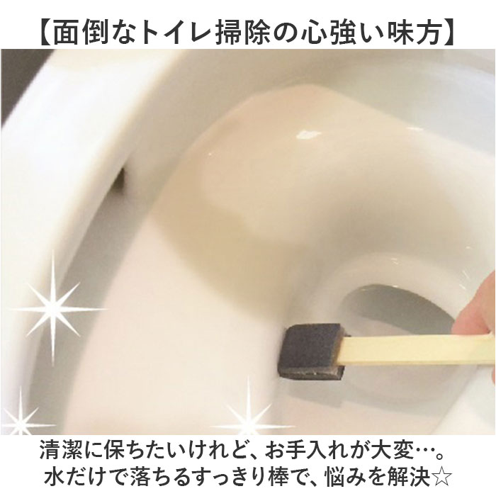 トイレ尿石黄ばみ取りGEL280ml 10本セット岐阜県瑞穂市ふるさと納税サイト「さとふる」