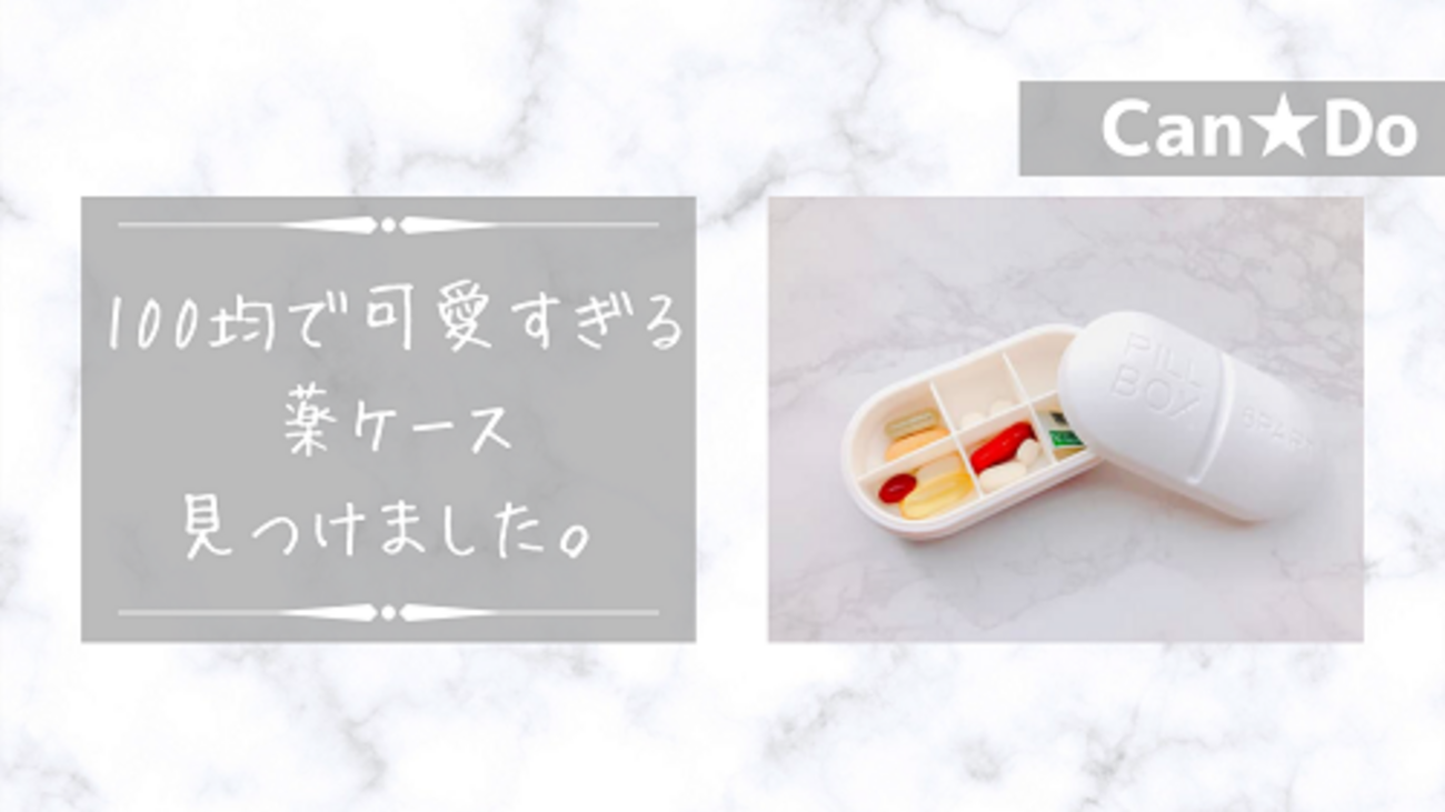 ダイソーさん！こりゃ売り切れるわ こういうのでいいんだよ！持ち運びにくい“専用”ケースmichill byGMO ミチル