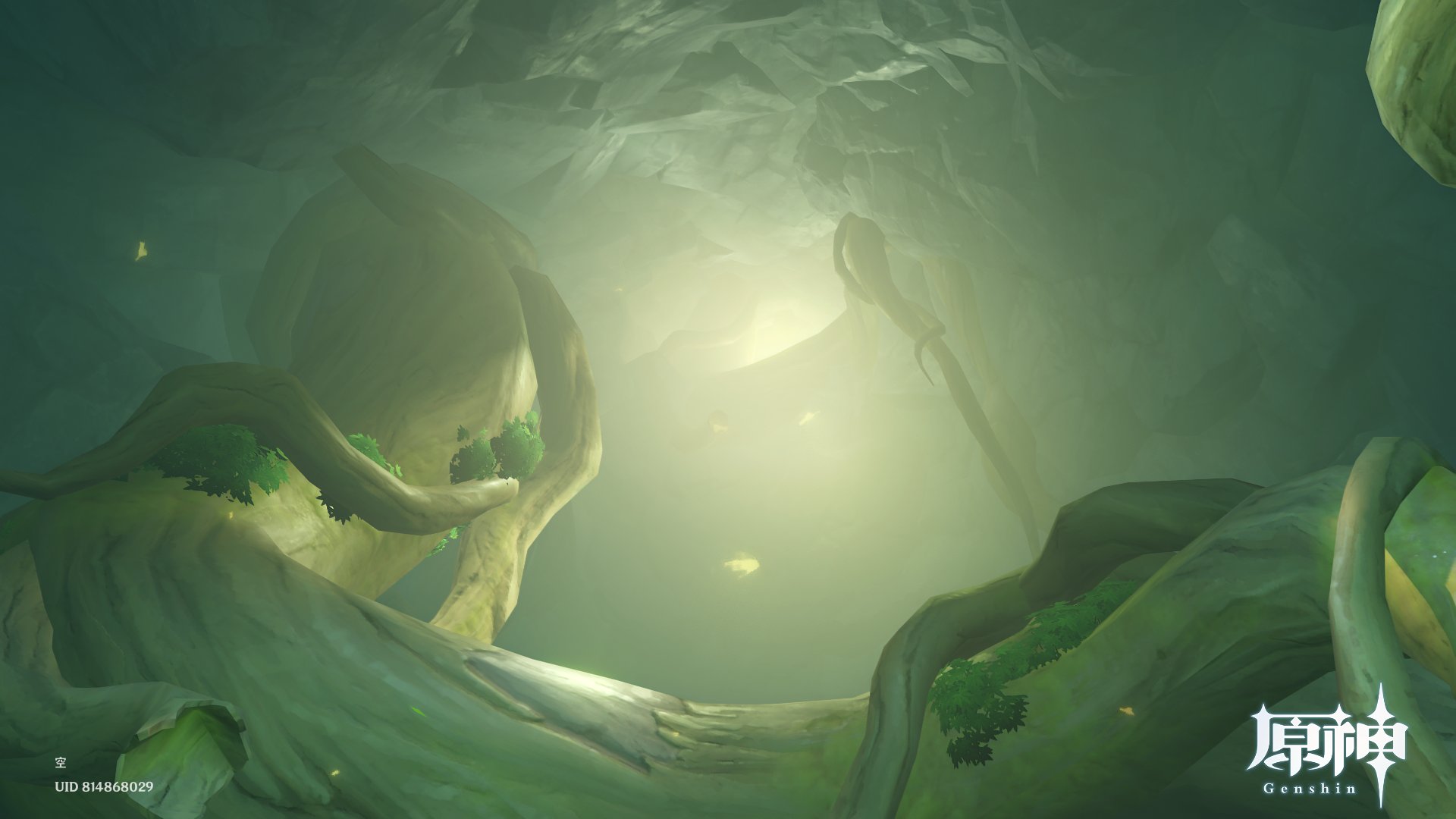 原神 干からびた種の入手場所と使い道 - 神ゲー攻略