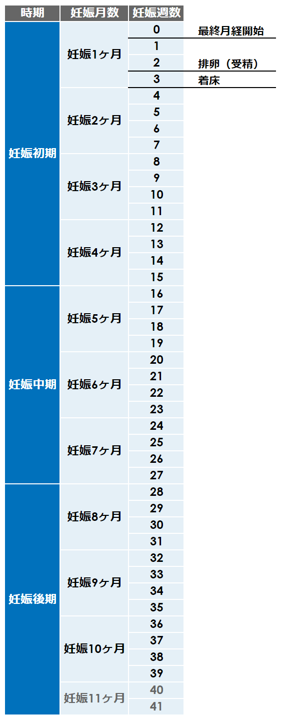 医師監修 胎動はいつから？どう感じる？ゼクシィBaby